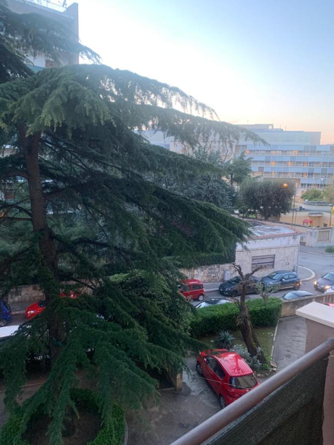 Residenza Giovanni Paolo Secondo- Casa Sull'Albero Μπάρι Εξωτερικό φωτογραφία